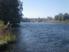 Lower American River