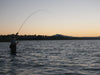 Striper Fishing - San Pablo Bay