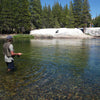 Fall Brown Trout in Mono Hot Springs