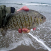 Introduction to Fly Fishing Local Beaches