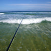 Introduction to Fly Fishing Local Beaches