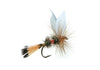 Royal Coachman Dry Fly